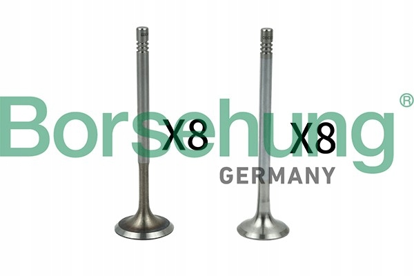 ZESTAW ZAWORÓW VW GOLF 1,4TSI 08- B18630