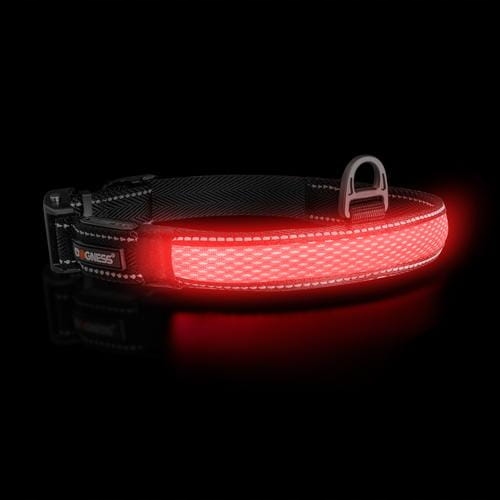 

Obroża odblaskowa z Led Dogness taśma (XL) czarna
