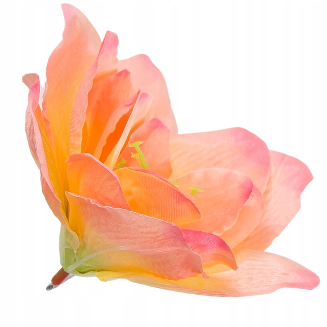 

Główka kwiat clivia 15-16cm koralowo-brzoskwiniowa