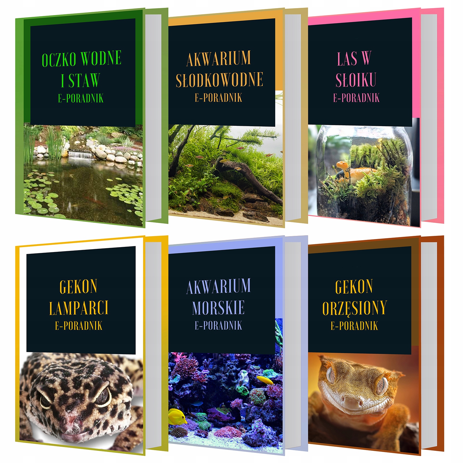 BAKTERIE W ŻELU DO AKWARIUM FILTRACJA EVOLUTION Marka Evolution Aqua