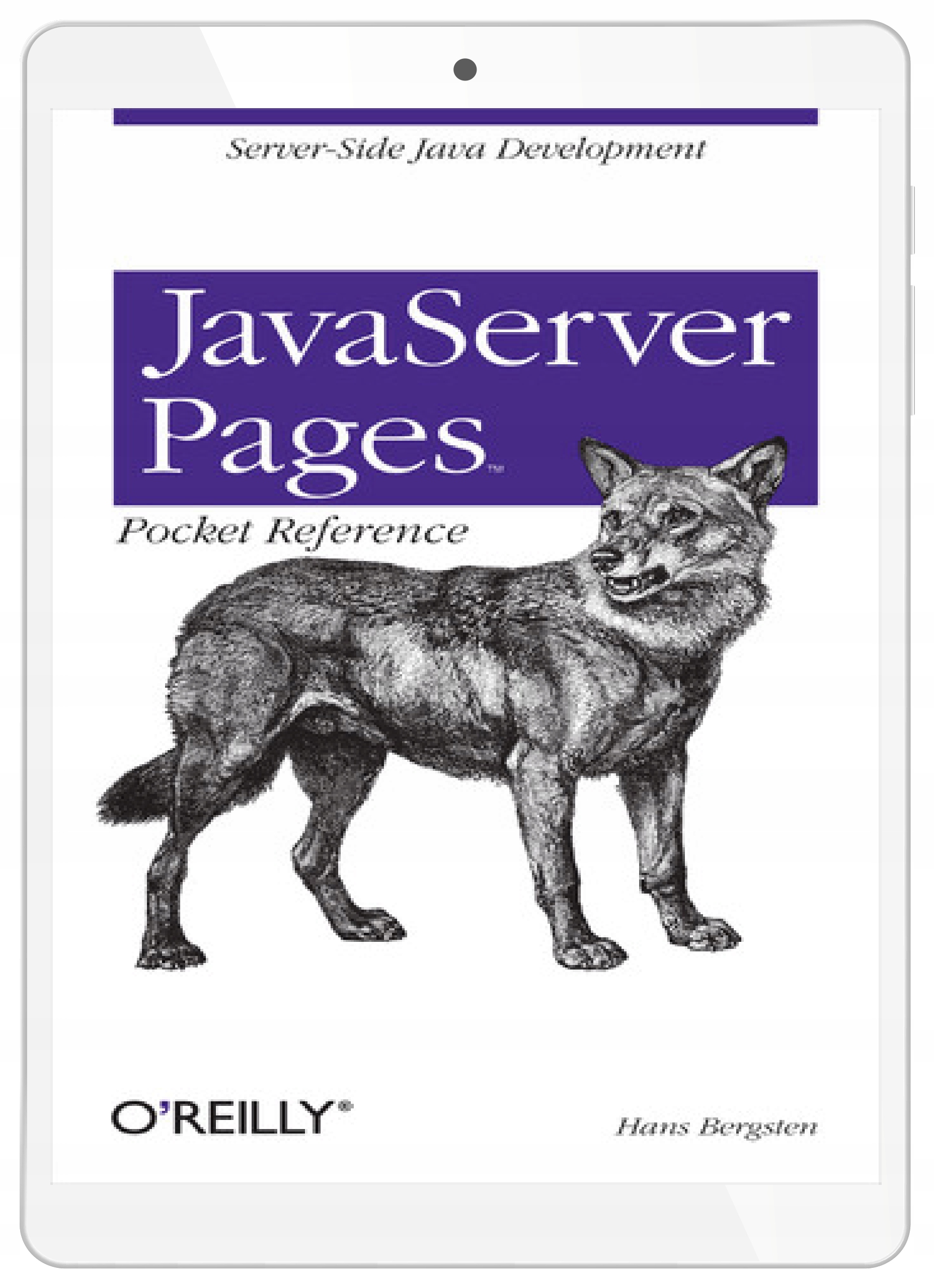 JavaServer Pages Pocket Reference