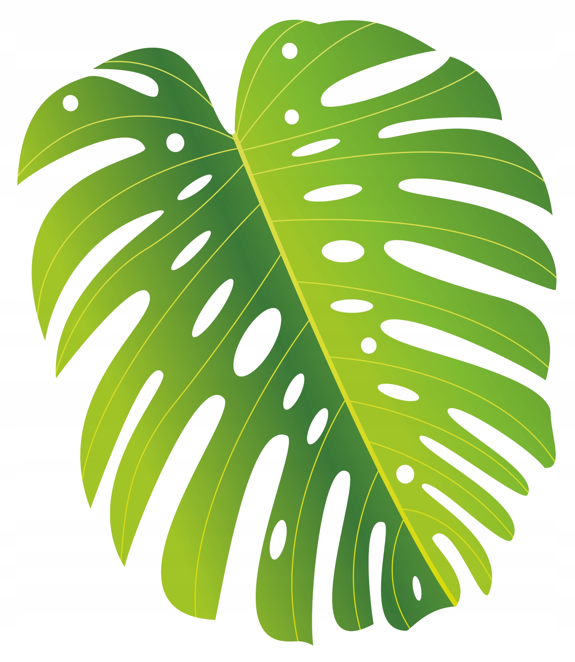 

Naklejka Na Okno Meble Lustro Liść Kwiat Monstera