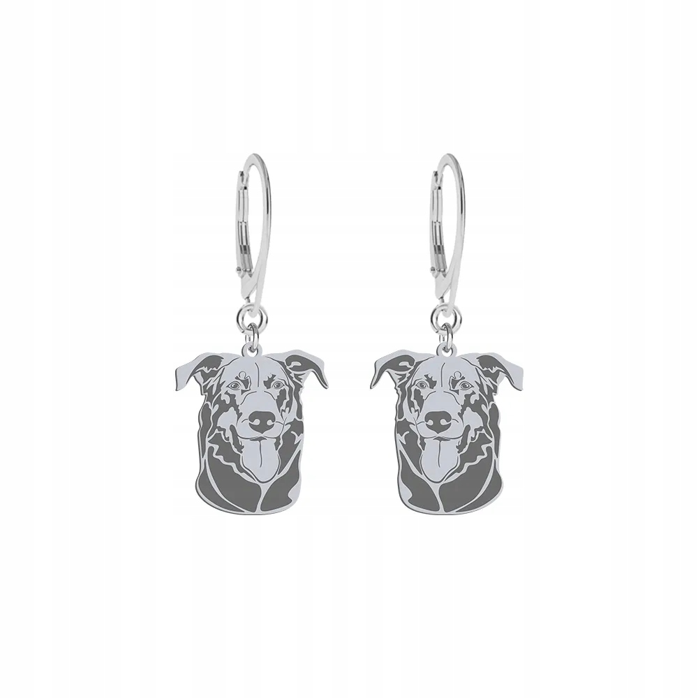 Stříbrné Náušnice 925 se psem Francouzský ovčák Beauceron Dárek Gravírování