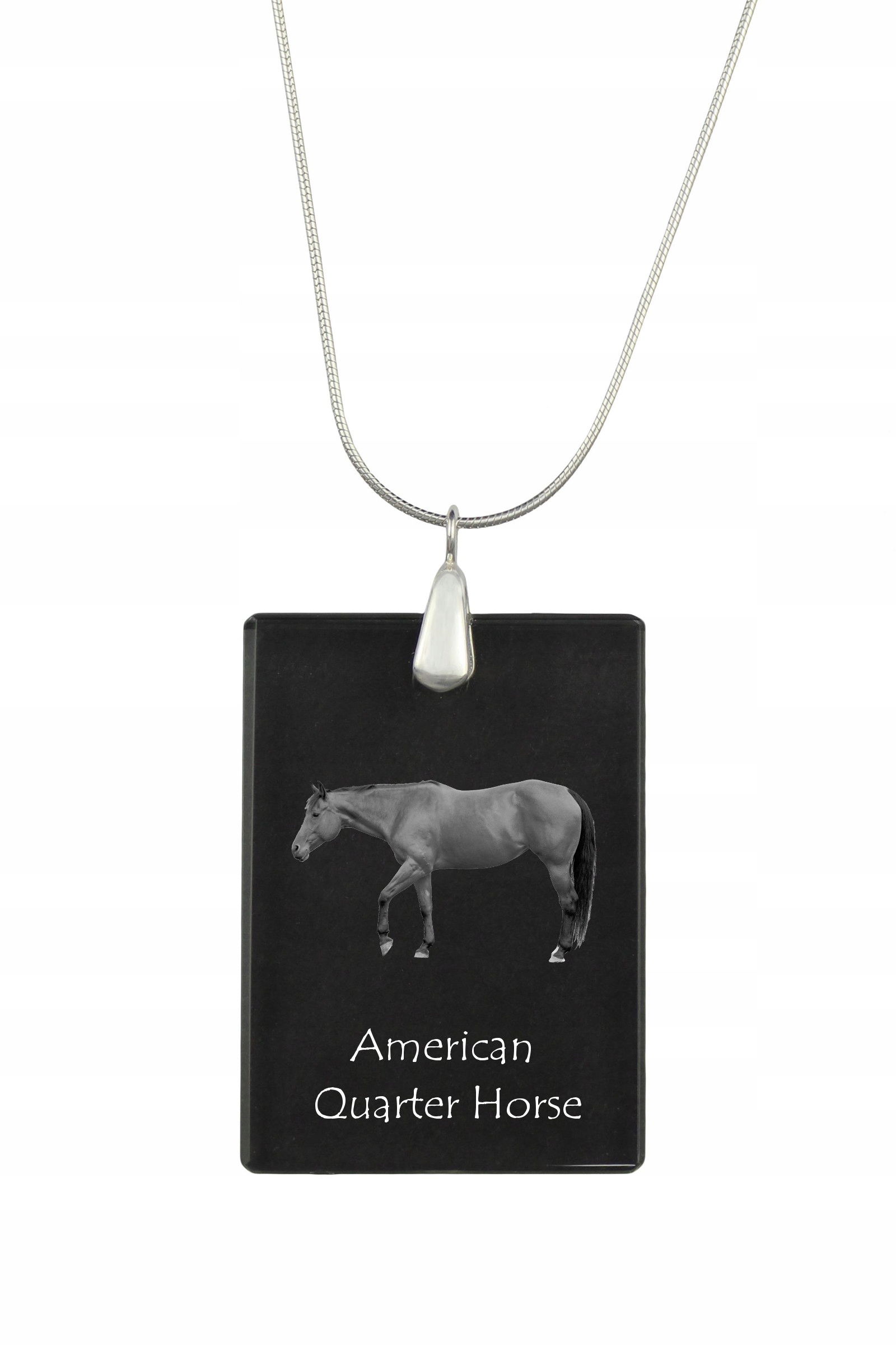 Kůň American Quarter stříbrný náhrdelník s křišťálovým přívěskem s fotografií