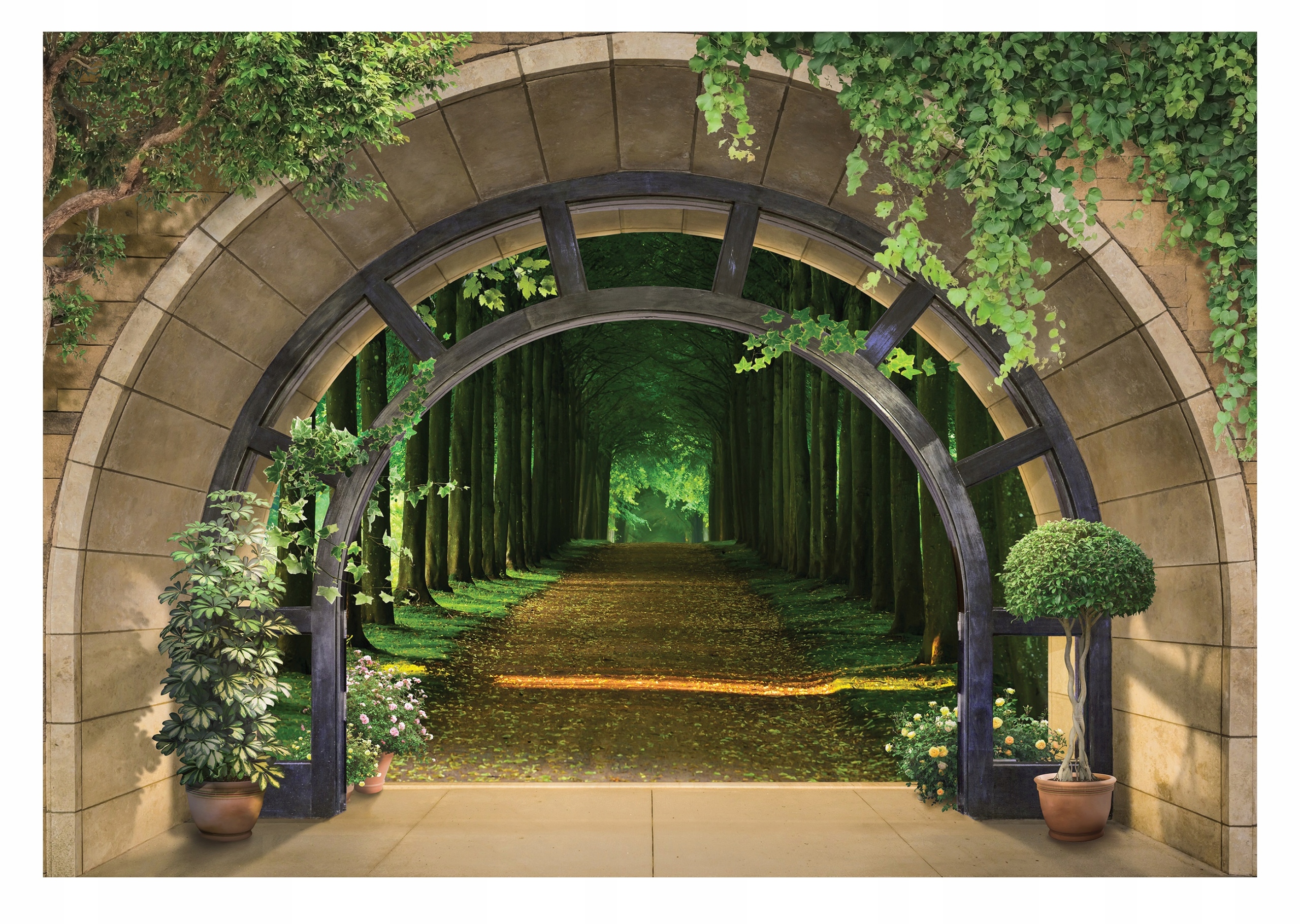 Fototapeta 3D Alejka Stromy Okno Les Obývací pokoj 416x290