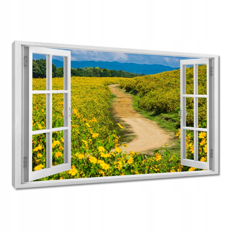 

Obrazy 120x80 Wiejska mleczna droga