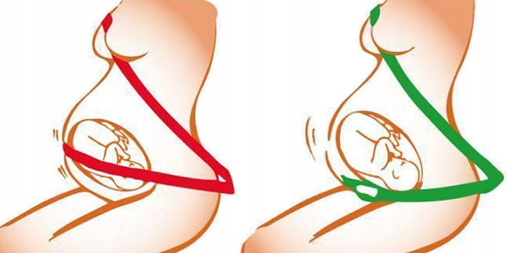 BeSafe - adapter do pasów bezpieczeństwa dla kobiet w ciąży Kod producenta 520033