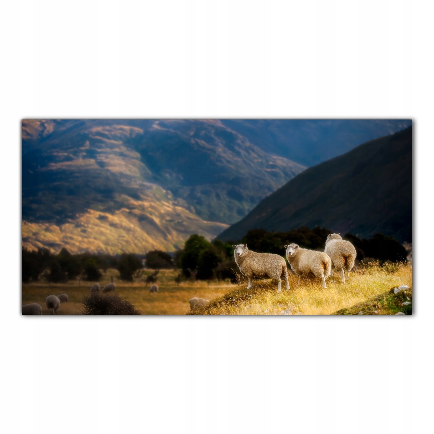 

Hartowany Obraz Szklany Góry Owca Krajobraz 140x70