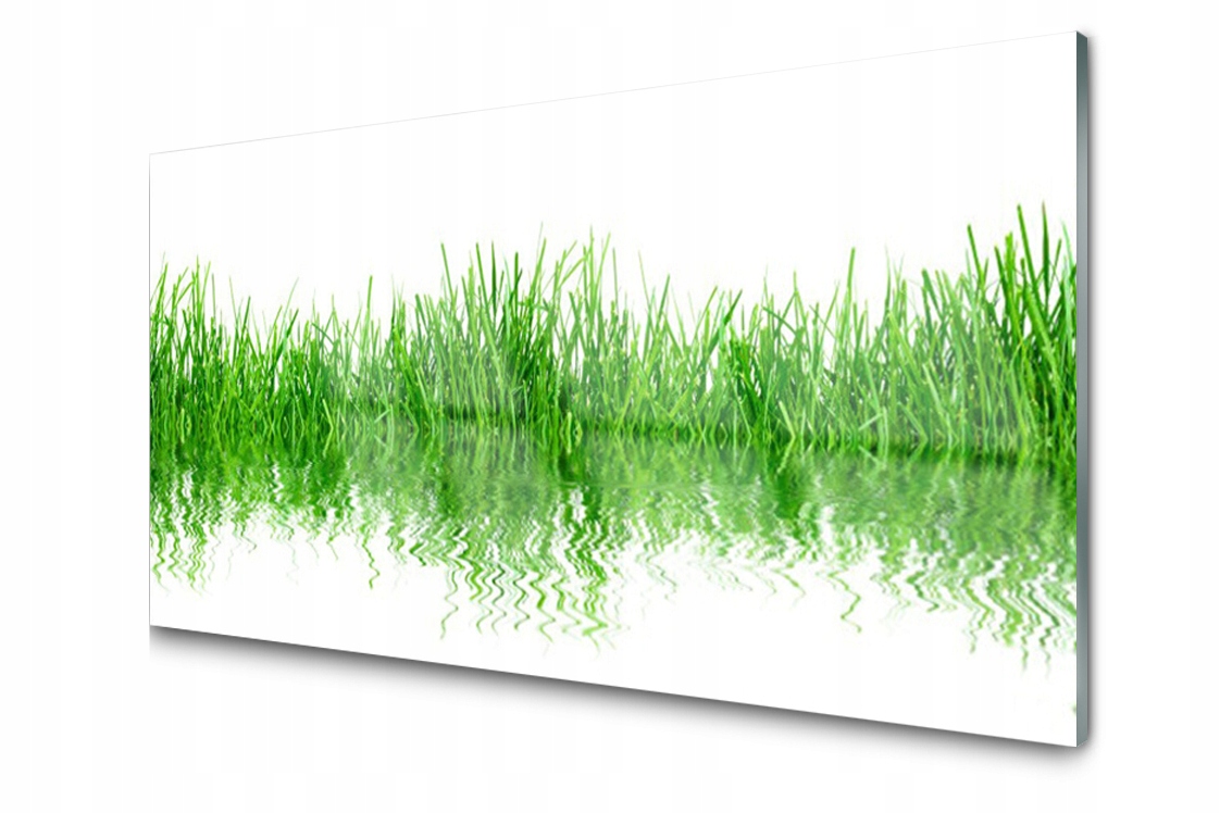 Skleněný panel Deska Tráva Rostlina 100x50