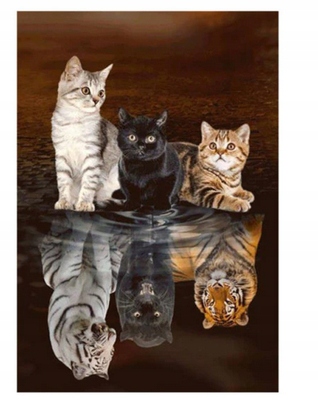 

Termo Naklejka Aplikacja Naprasowanka koty