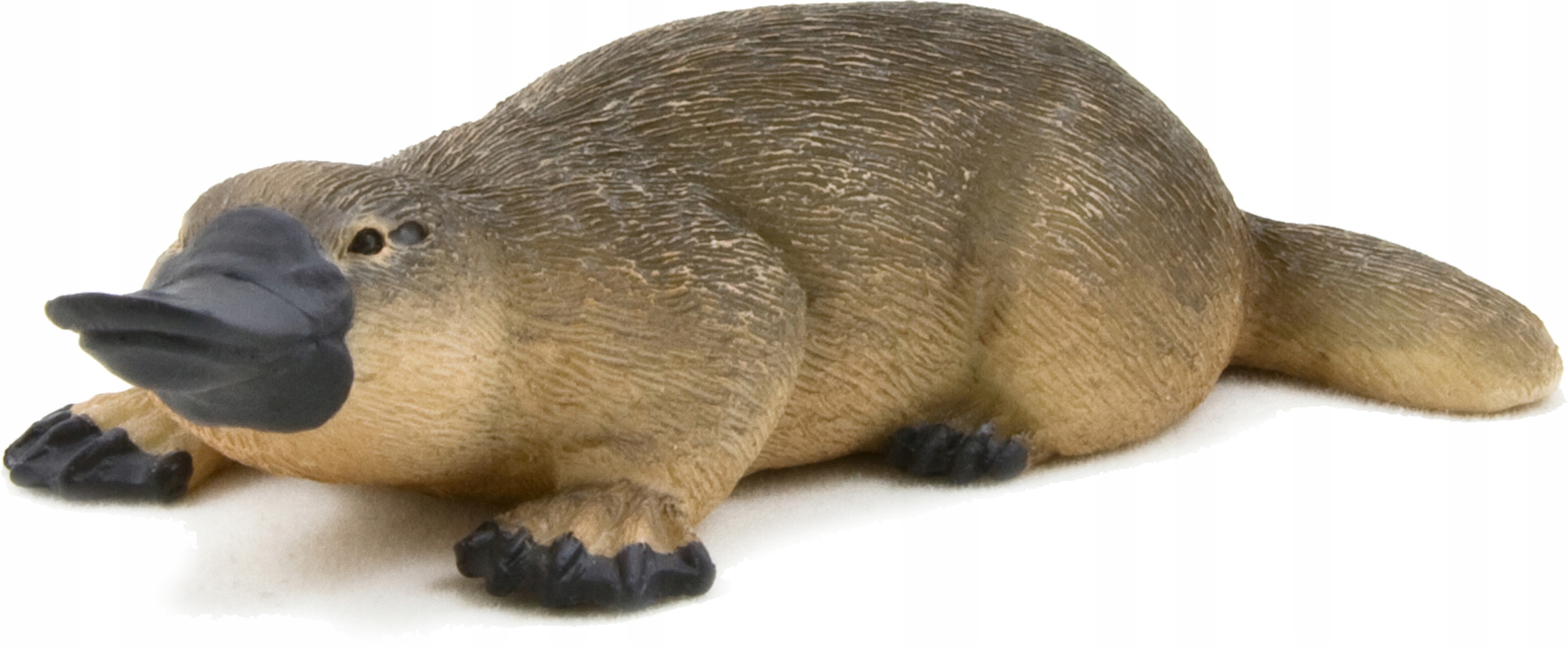 DZIOBAK AUSTRALIJSKI - MOJO - 387106 Rodzaj produktu zwierzę