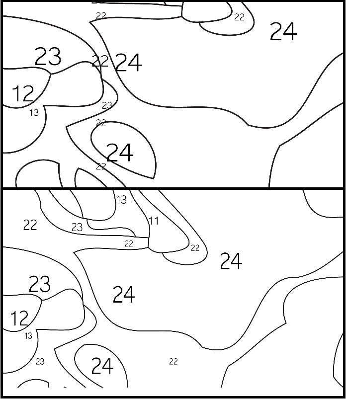 Obraz Malowanie Po Numerach Spacer z Balonami z RAMĄ 40x50 PIAST + BLEJTRAM Szerokość produktu 40 cm