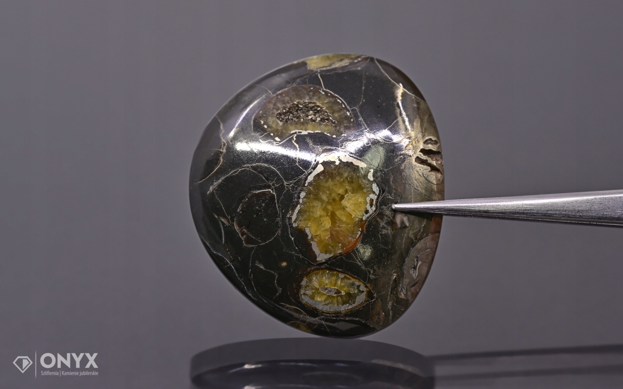 Amonit spiritizovaný nepravidelný 38x35 mm