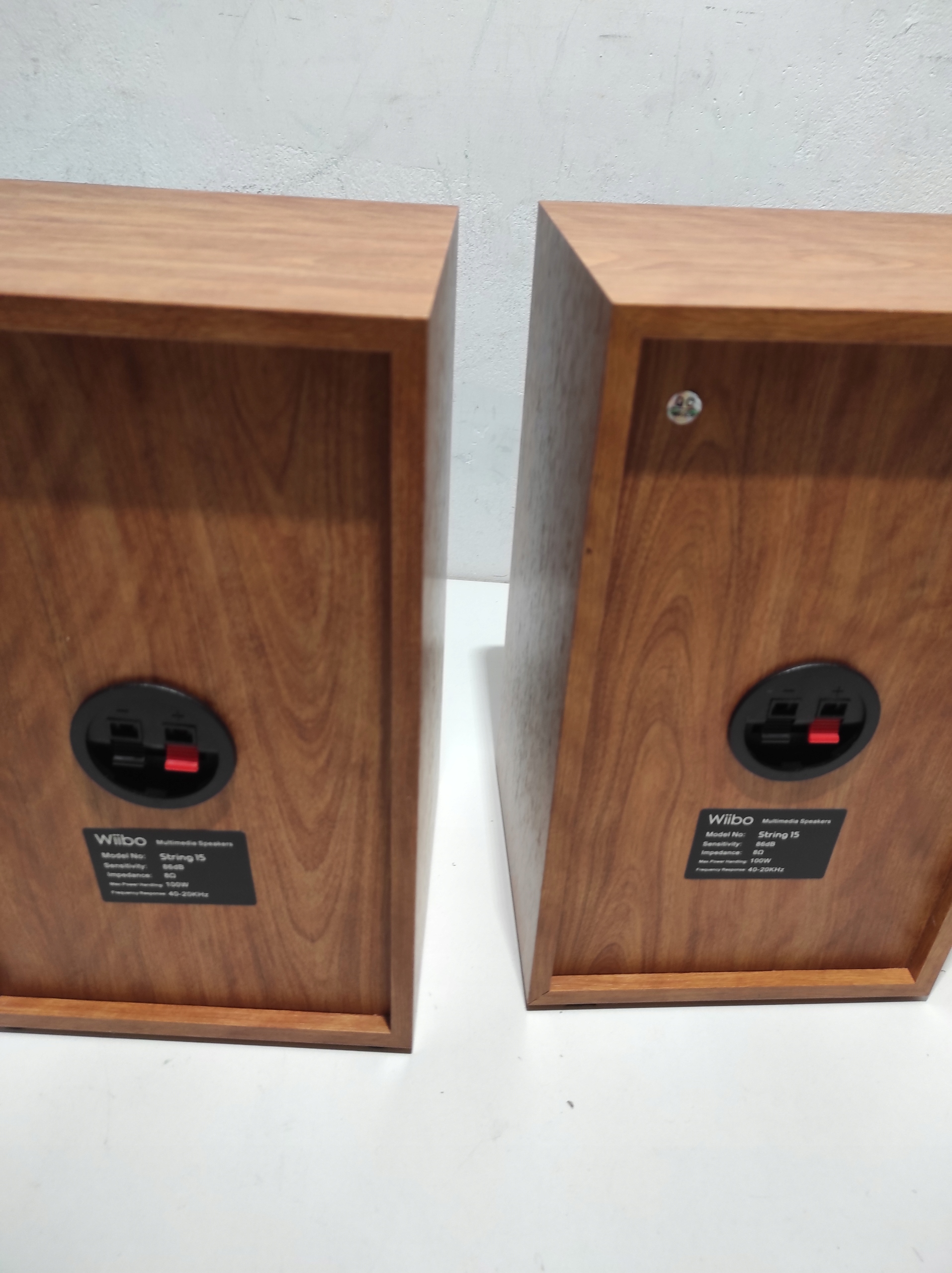 WIIBO - String 15 HiFi Stylowe głośniki 100W Kod producenta 10156754