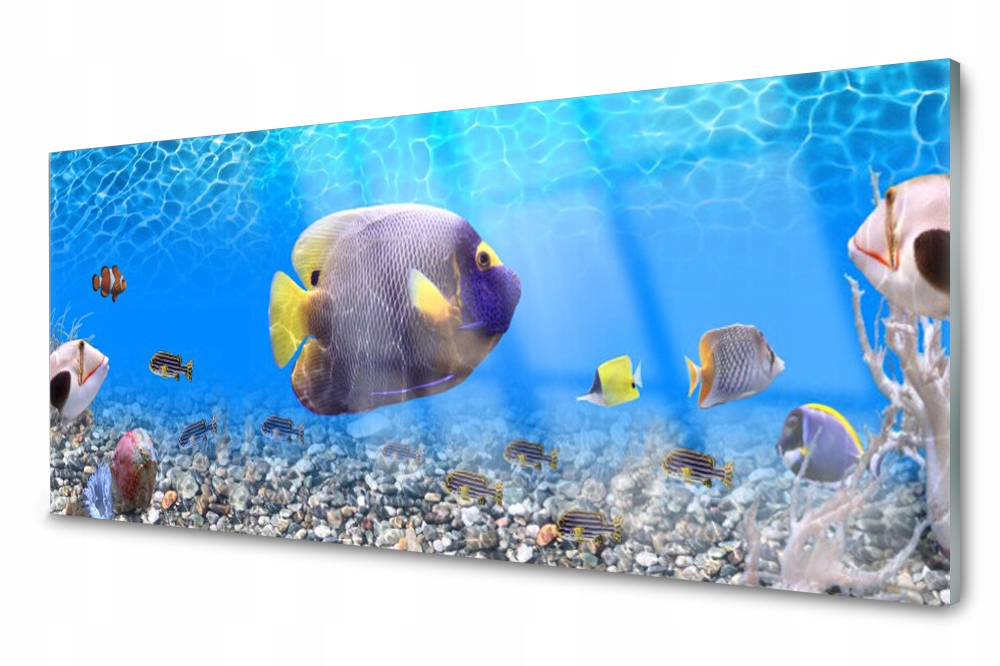

Panel szklany do kuchni Ryba Morze 125x50
