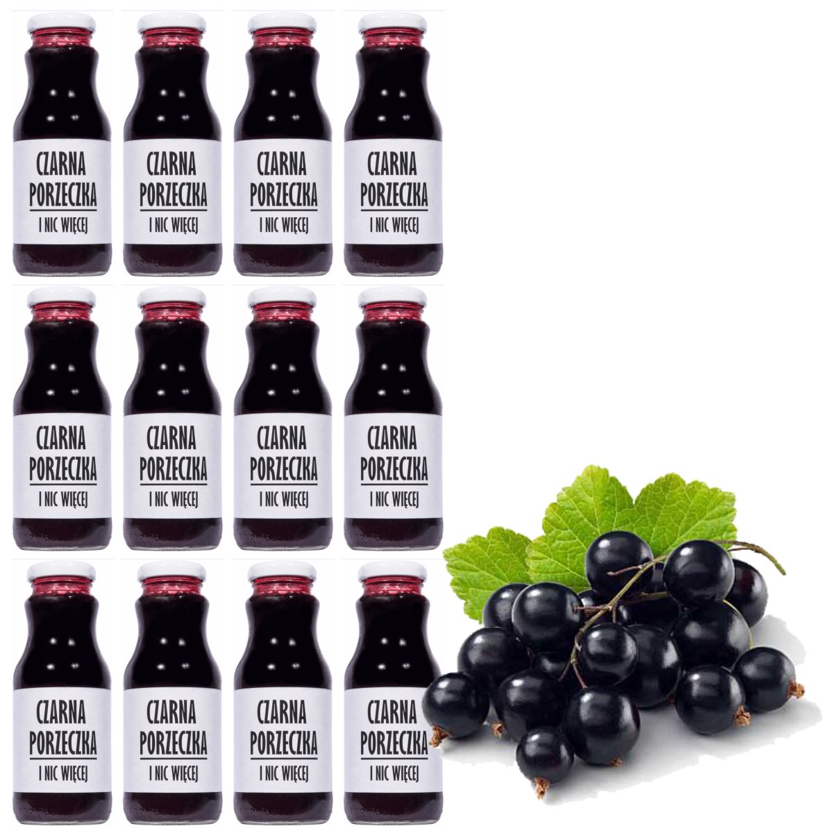 Levně Černý rybízový džus 100% přírodní 250 ml x 12