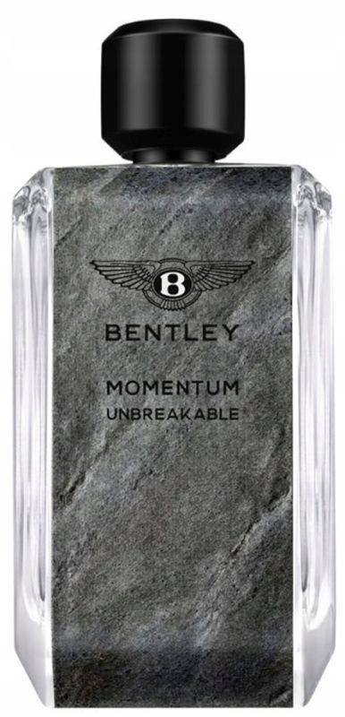 Bentley Momentum Unbreakable Edp 100ml Spray Pánská parfémovaná voda 100 ml