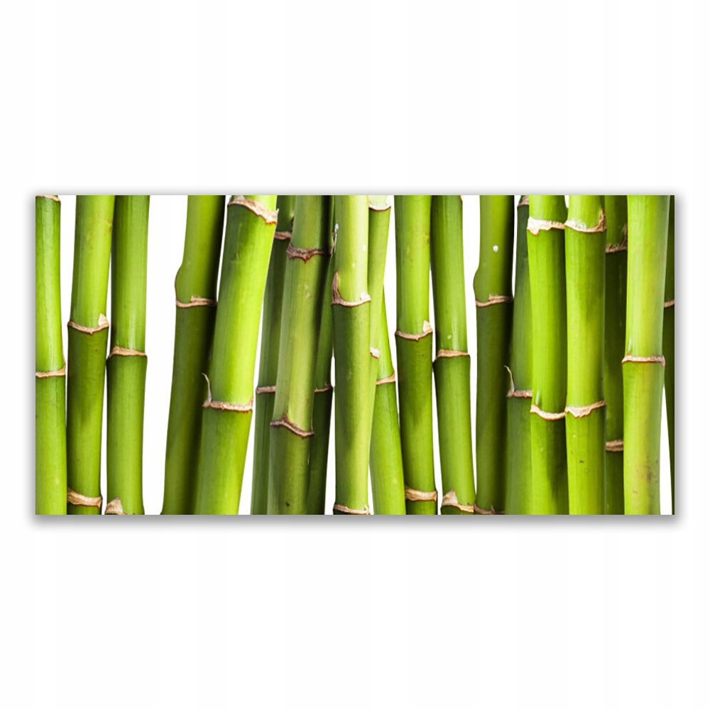 

Fotoobraz na ścianę 140x70 Bambus Roślina Przyroda