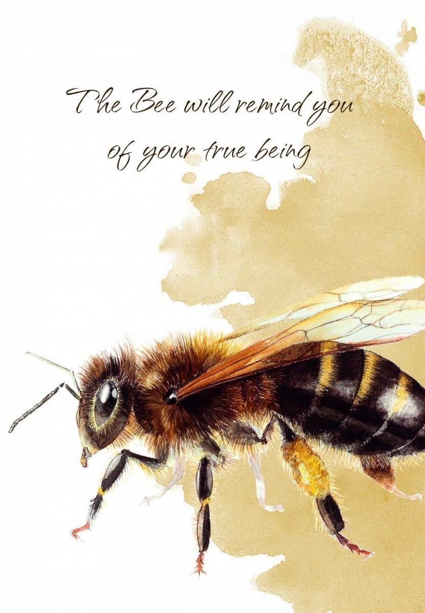 CARTAMUNDI Karty Tarot Power Animal Cards Wydawca Fournier