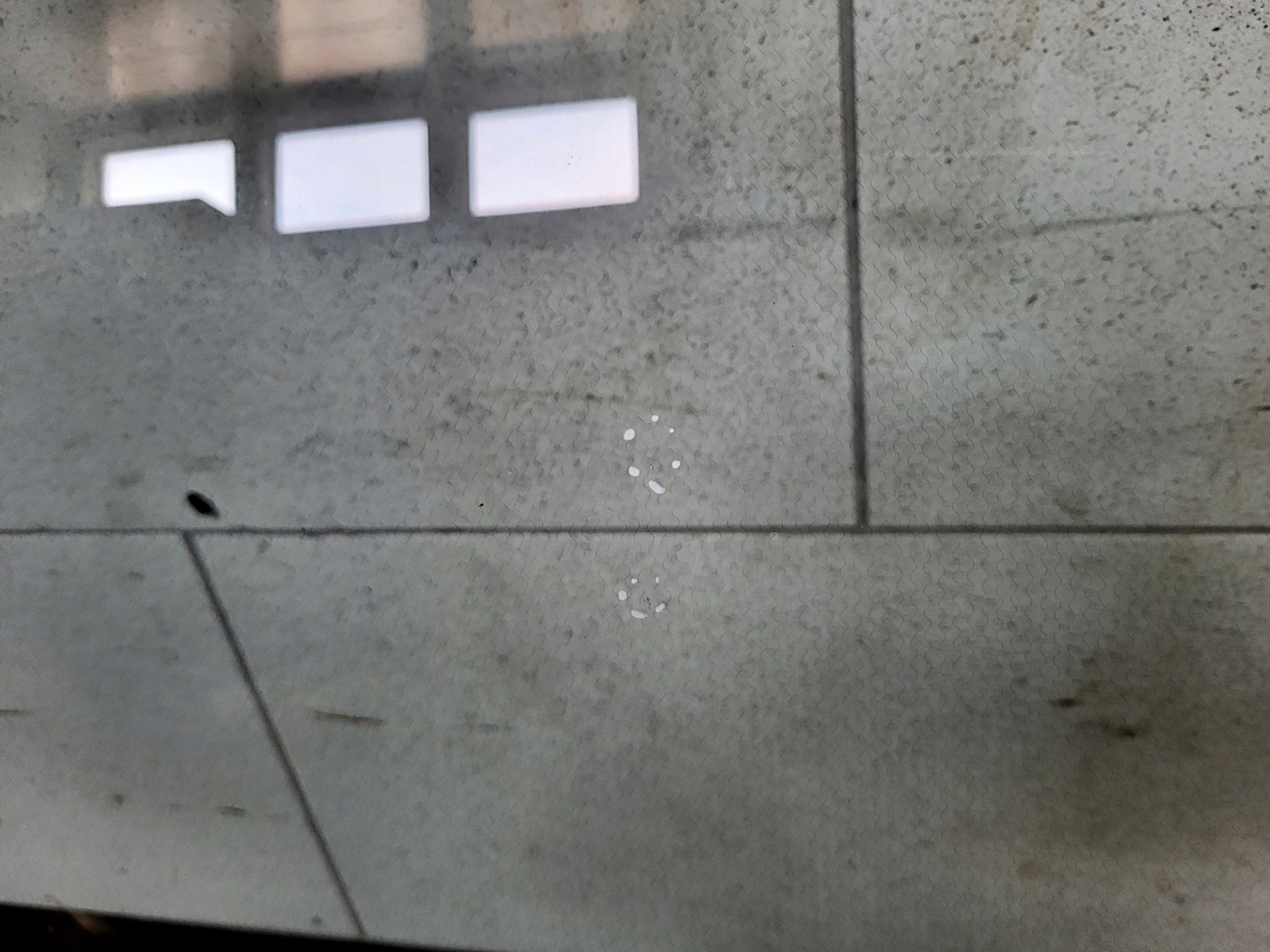 window iron front front podgrzewana Range Rover EVOQUE L538 LIFT