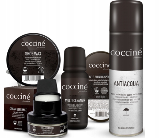 Odświeżacz do butów ZE SREBREM antyseptyczny NANO SILVER COCCINE 2X400ml EAN (GTIN) 5904844701916