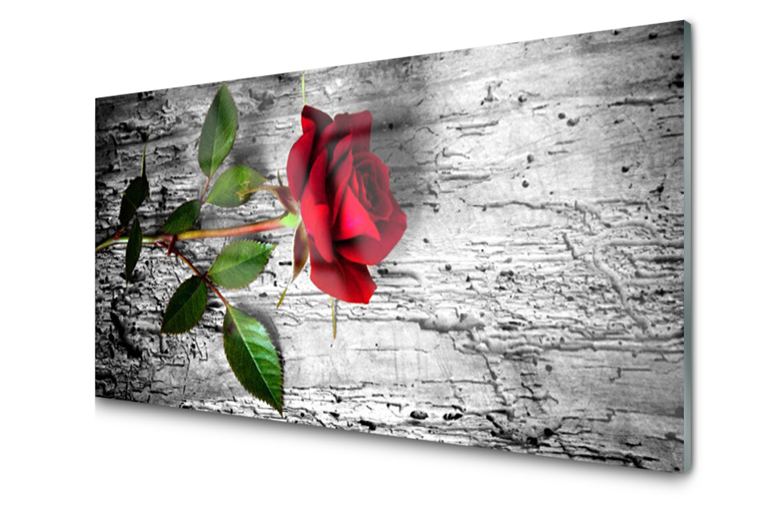 Sklenený panel dekor Ruža Kvet Rastlina 120x60