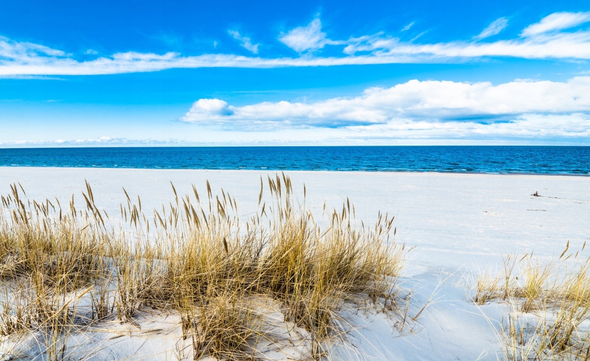 

Fototapeta Flizelinowa Plaża piaszczysta 416x254
