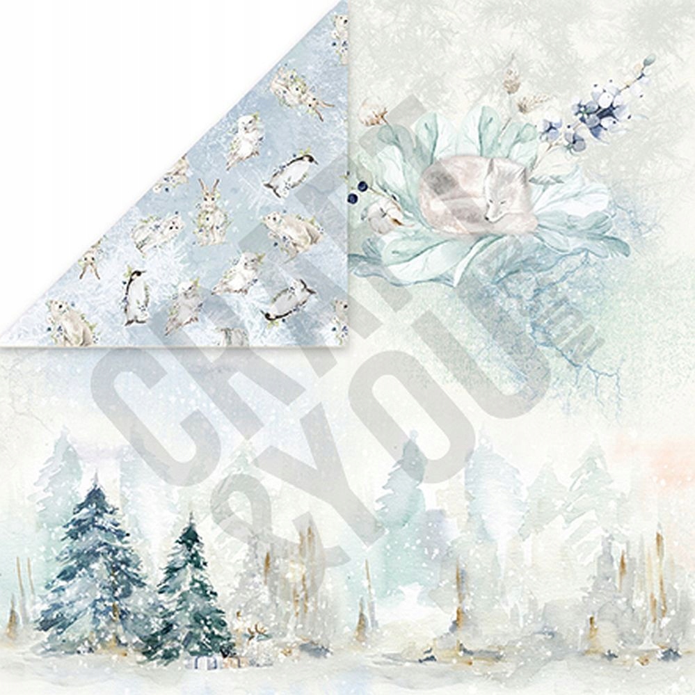 Papier do scrapbookingu Arctic Winter craft&de