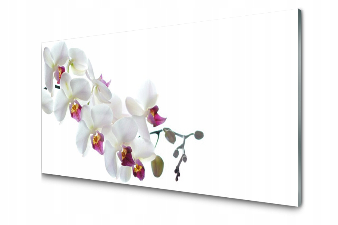 

Panel szklany dekor Kwiaty Roślina 120x60 + Klej