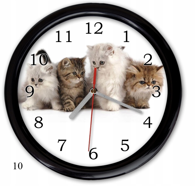 ZEGAR ŚCIENNY kotek koty KOT BRYTYJSKI PERSKI PL