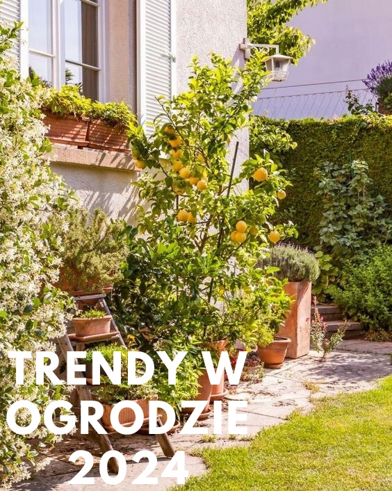 Palisada ogrodowa Border IPBO | Brązowy — 22