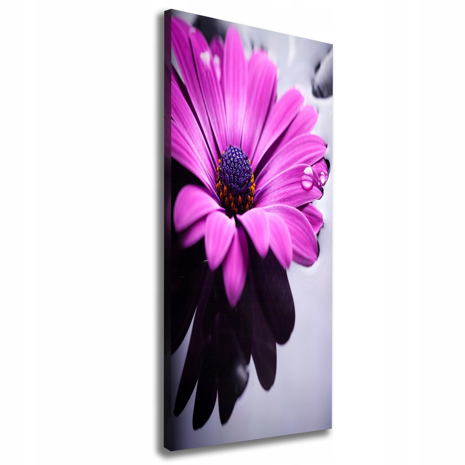 

Foto-obraz canvas do salonu Różowa gerbera 50x125