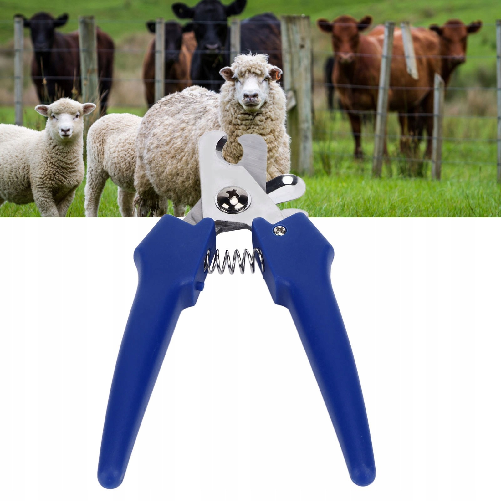 Obcinacz ogona świni Marka inny