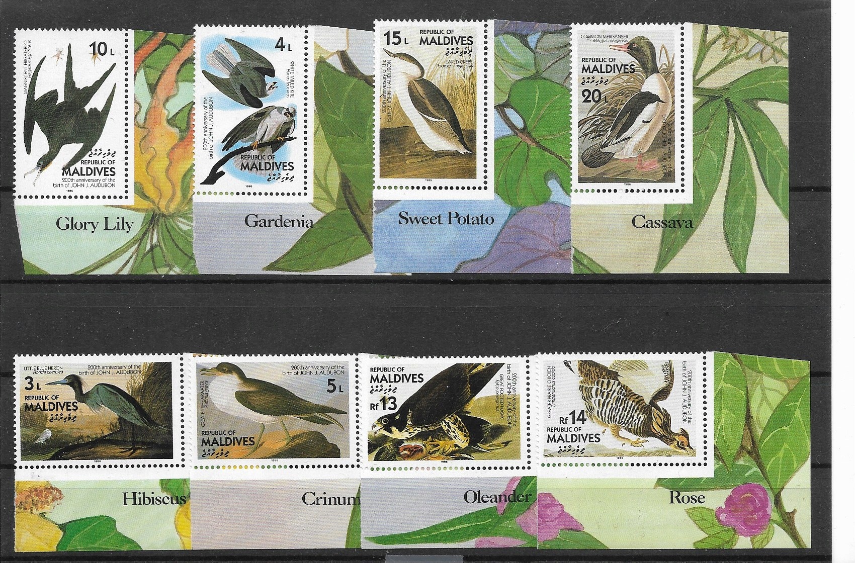 Malediwy xx M764fauna ptaki MNH VF