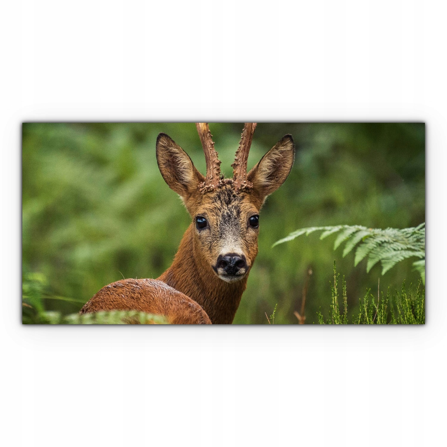 

Canvas płótno do sypialni 120x60 Jeleń Las Zwierzę