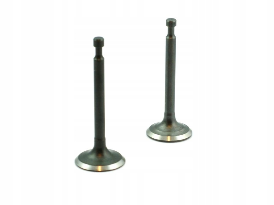 Zawory kpl ssący + wydechowy do HONDA GX160 GX200 Kod producenta R-100196