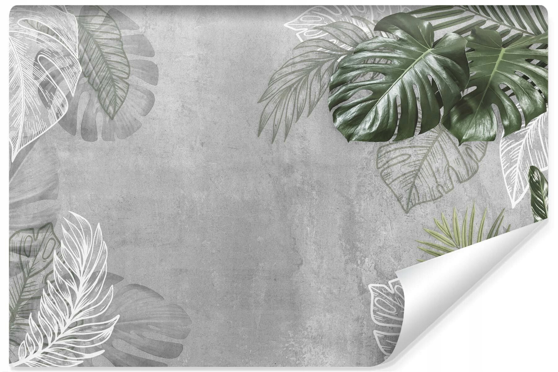 Fototapeta do obývacího pokoje Beton Monstera Listy 315x210