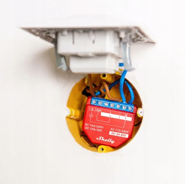 Shelly PLUS 1PM przekaźnik WIFI/BL z pomiarem mocy Rodzaj sterownik