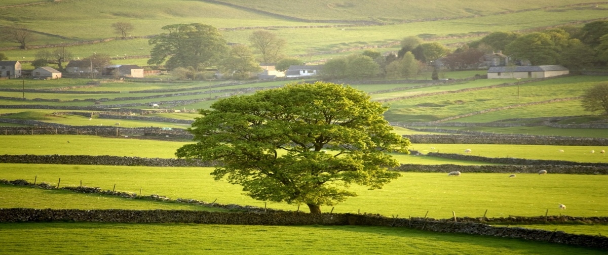 

Tapeta Flizelinowa Anglia Derbyshire - 250x104