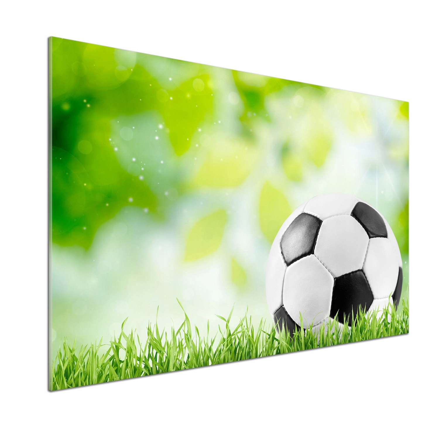 Panel dekor sklo Futbal 100x70 cm Lepidlo