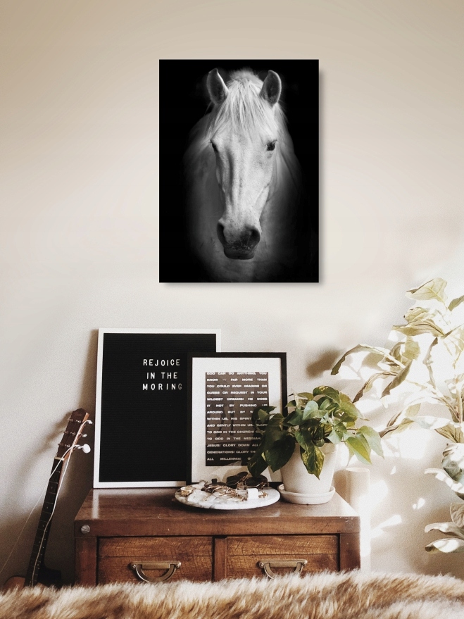 KOŃ czarno-biały plakat B2 50x70cm #198 Wysokość produktu 70 cm