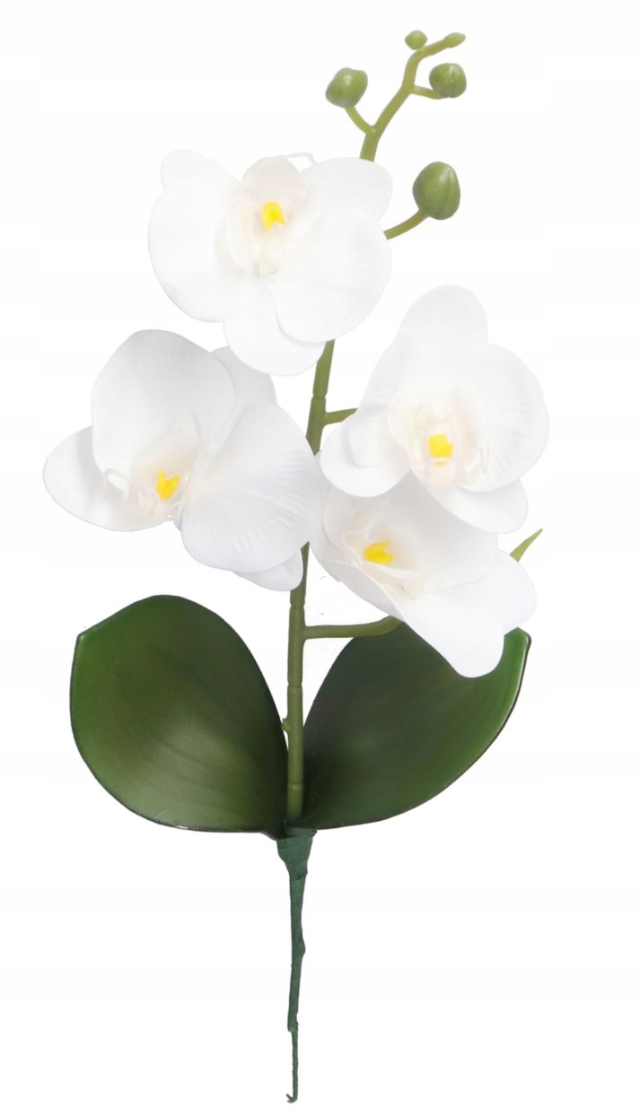 

Storczyk Orchidea Do Doniczki 38CM 4 Główki