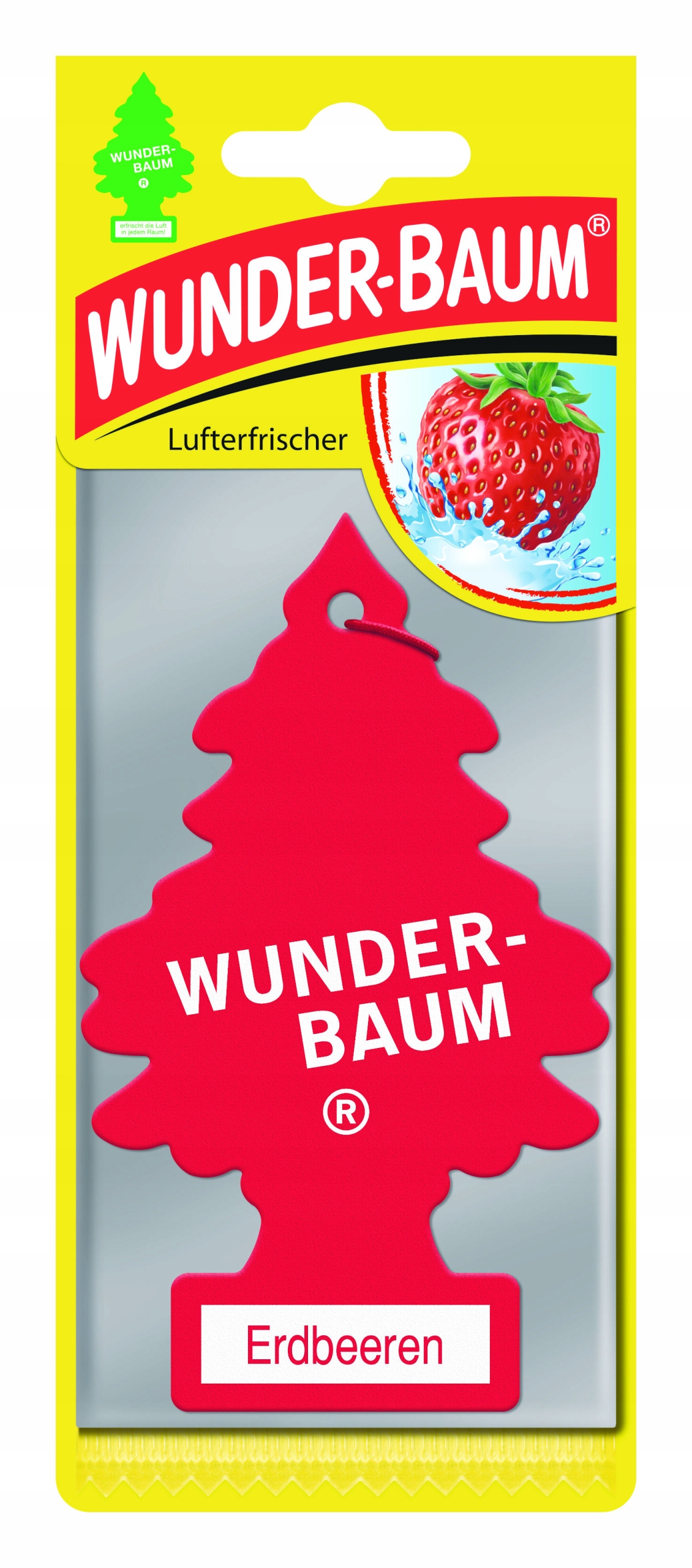 

Wunder-Baum choinka zapachowa truskawka Erdbeeren