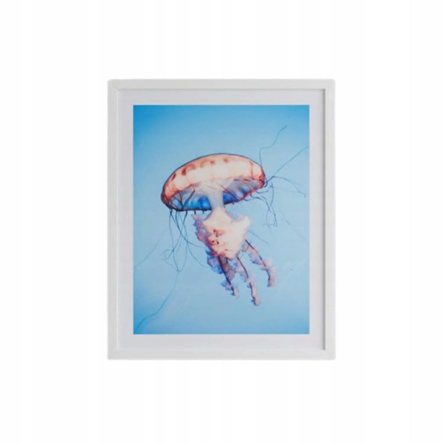 Obraz v rámu Ars Longa 53 x 43 plakát medúza bílý rám