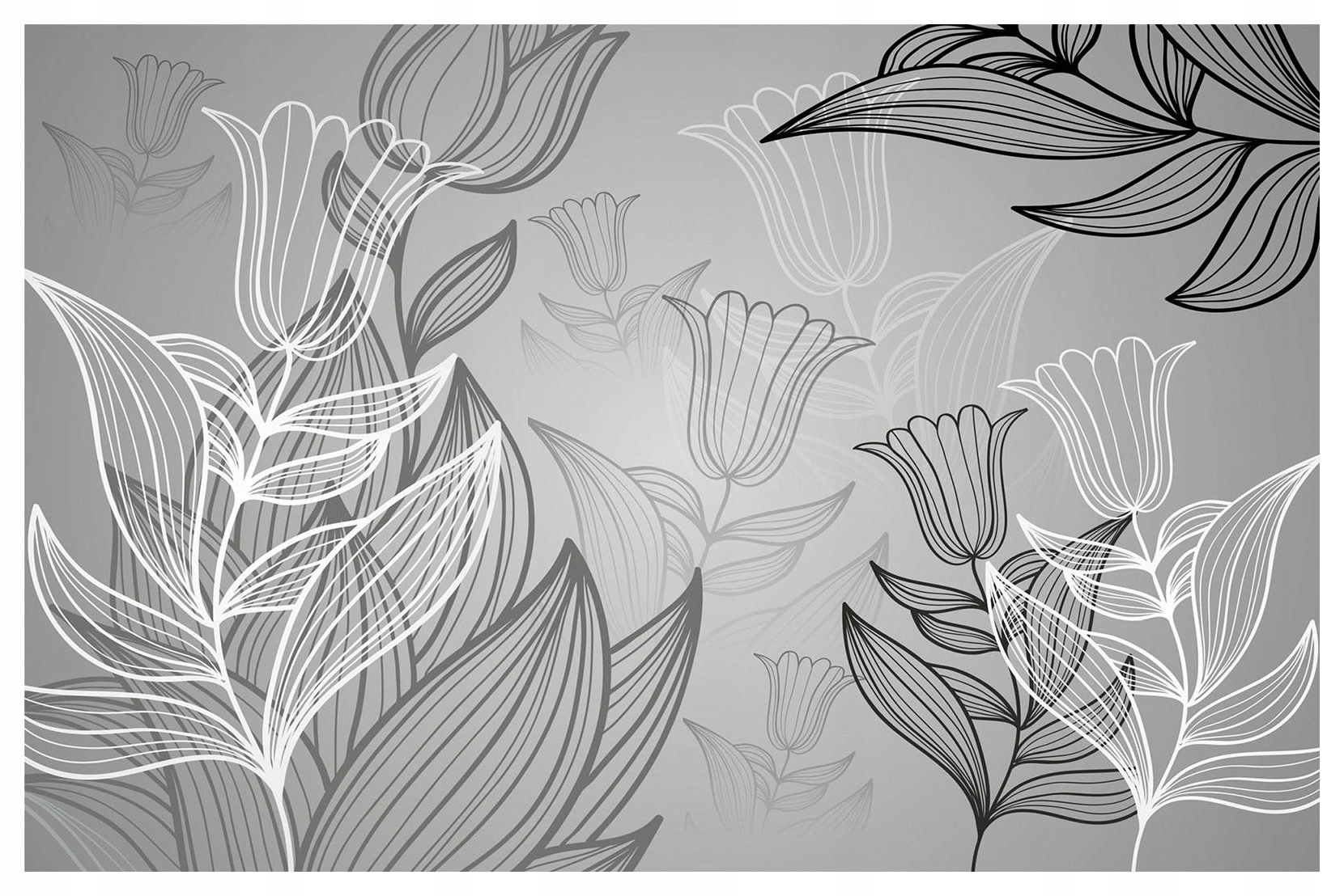 Fototapeta flizelina Elegantní tulipány šedo-černé grafiky 254x184 lepidlo
