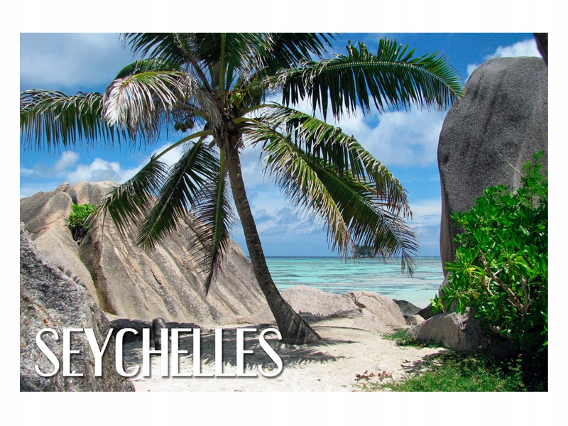 

Seszele Seychelles Palma Magnes na lodówkę