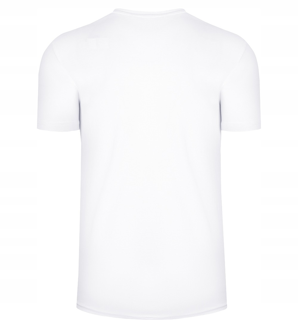4F T-SHIRT MĘSKI KOSZULKA SPORTOWA BAWEŁNIANA Model 4FSS23TTSHM536