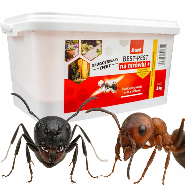 Best-pest Na Mrówki 3KG Granulowana Trutka Zwlacza Gniazda I Królowe Mrówek