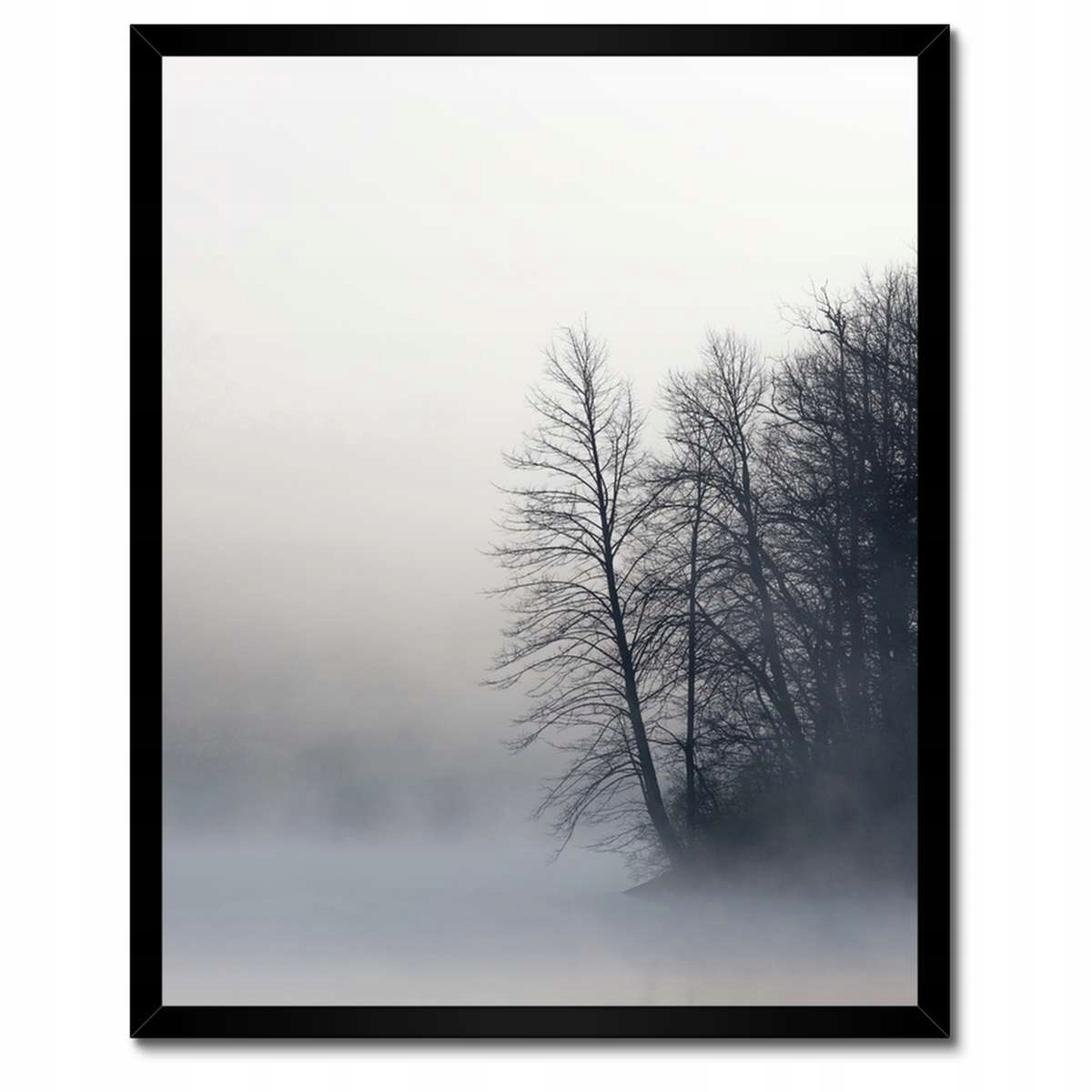 Plakáty v rámu 40x50 Mlžný les Zima