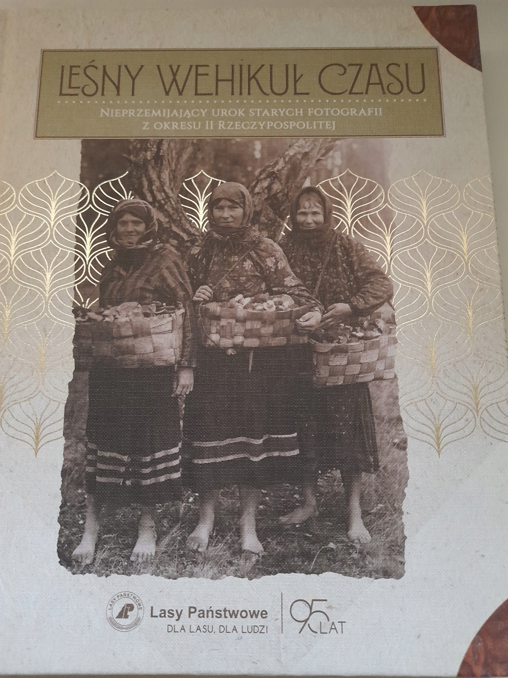 Leśny Wehikuł Czasu